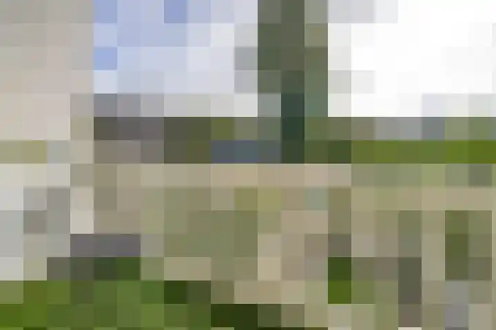 Bergselaan 360 A Rotterdam foto 3
