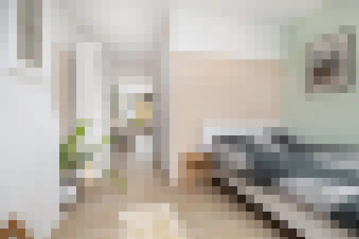 Bergselaan 386 A Rotterdam thumbnail 9
