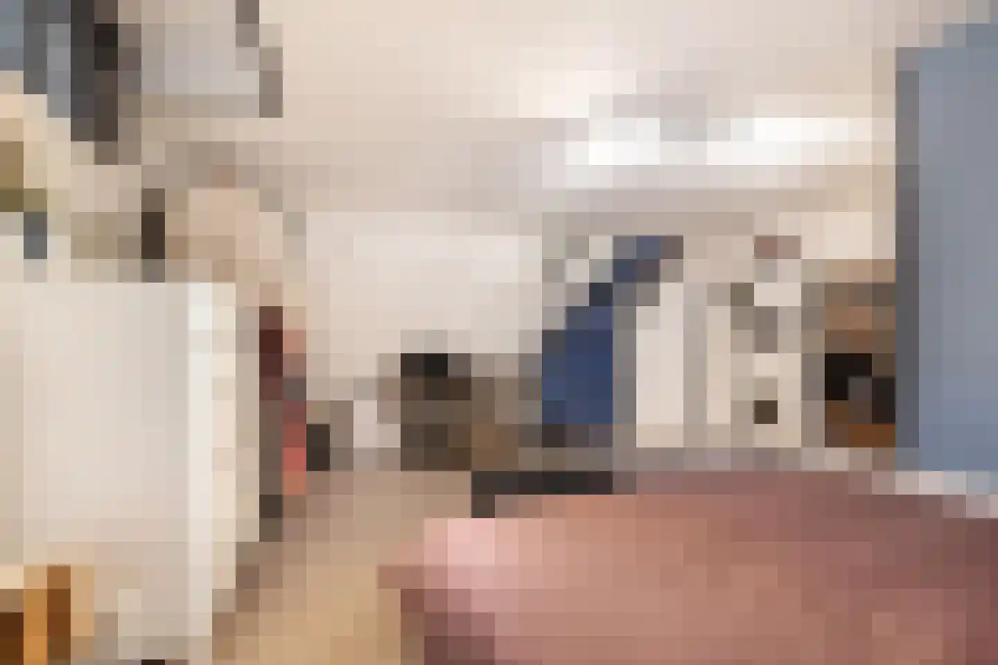 Bergselaan 386 D Rotterdam thumbnail 16