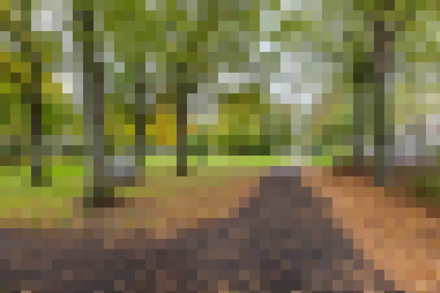 Bergselaan 386 D Rotterdam thumbnail 24