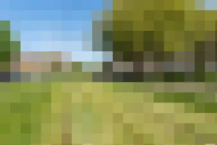 Bergselaan 388 B Rotterdam thumbnail 23