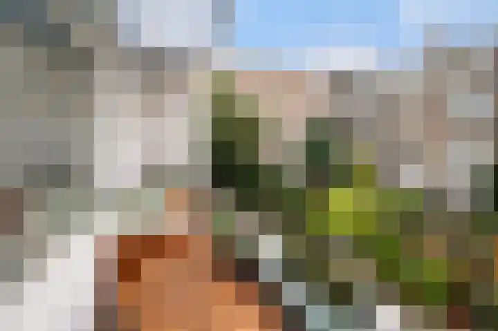 Bergselaan 48 B 02 Rotterdam thumbnail 24