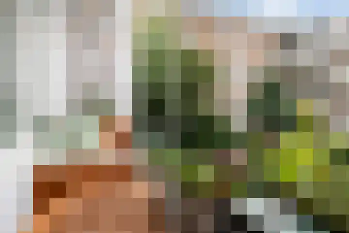Bergselaan 48 B 02 Rotterdam thumbnail 25