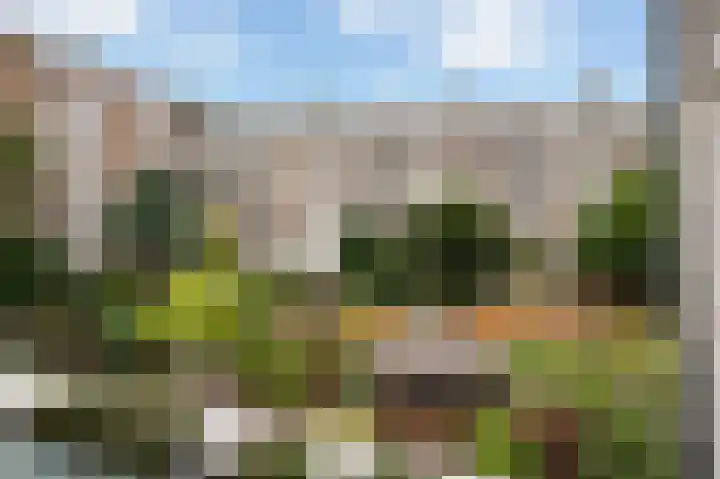Bergselaan 48 B 02 Rotterdam thumbnail 26
