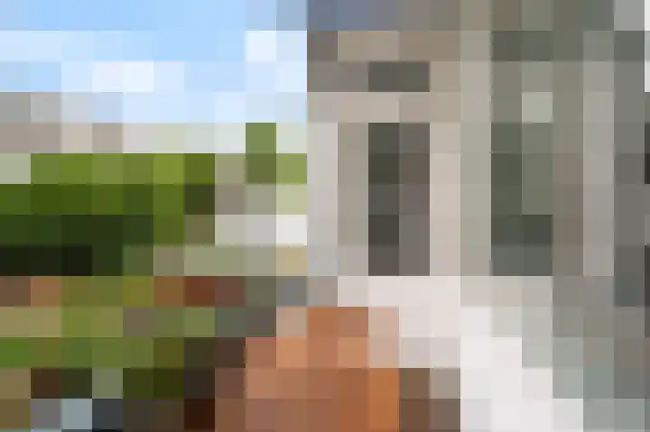 Bergselaan 48 B 02 Rotterdam thumbnail 27