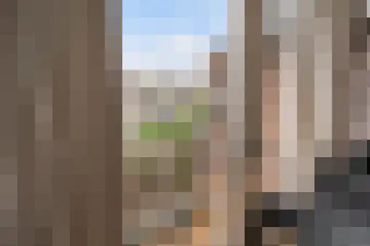 Bergselaan 48 B 02 Rotterdam thumbnail 34