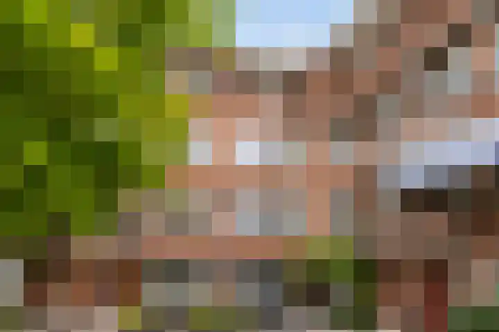 Bergselaan 48 B 02 Rotterdam thumbnail 46