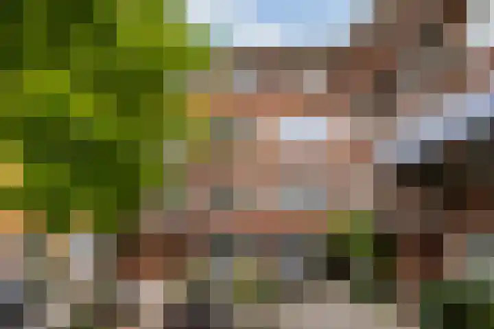 Bergselaan 48 B 02 Rotterdam thumbnail 50