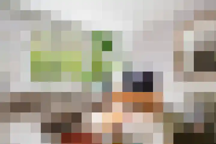 Bergselaan 48 B 02 Rotterdam thumbnail 6