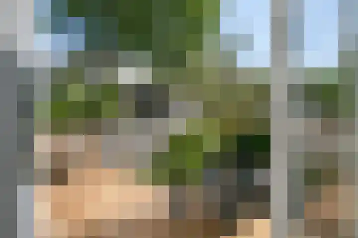 Bergselaan 54 B Rotterdam thumbnail 17