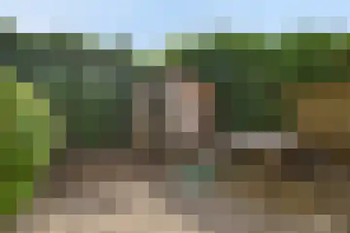 Bergselaan 54 B Rotterdam thumbnail 20