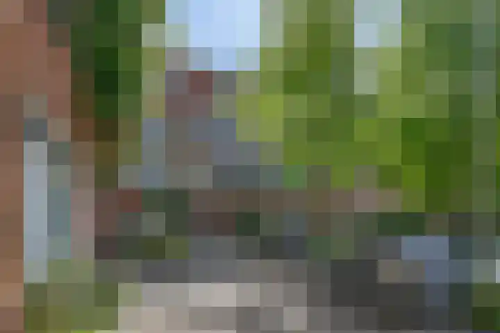 Bergselaan 54 B Rotterdam thumbnail 22