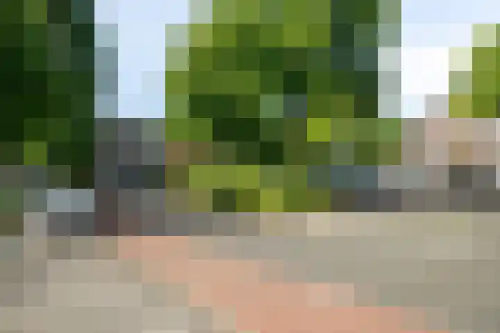 Bergselaan 54 B Rotterdam thumbnail 23