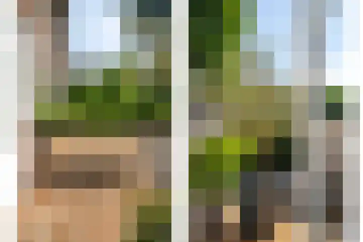 Bergselaan 54 B Rotterdam thumbnail 4