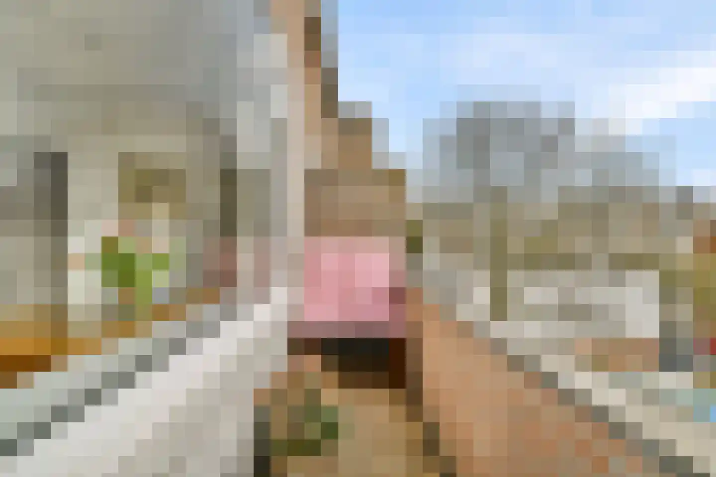 Bergselaan 56 B Rotterdam thumbnail 12
