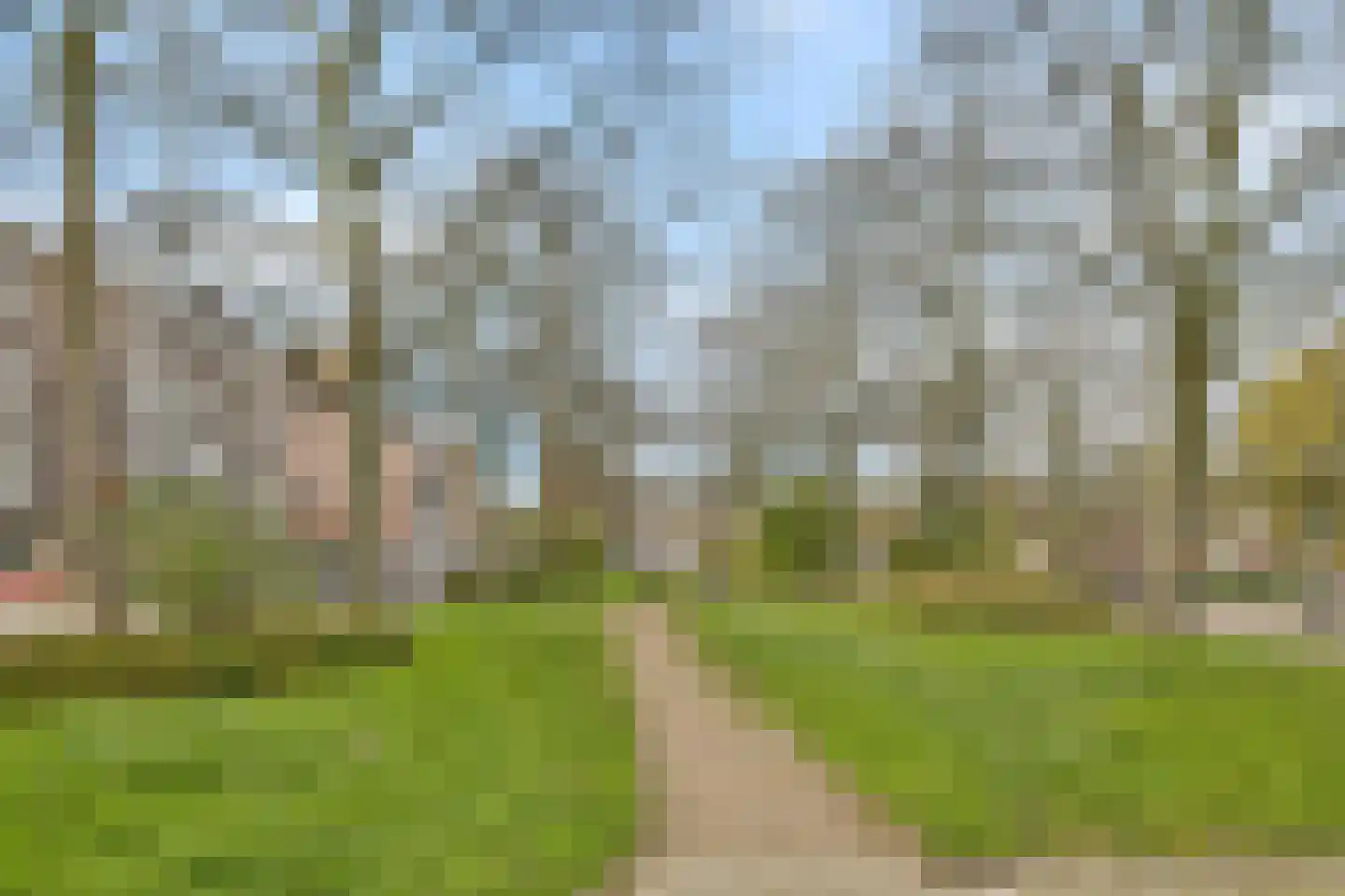 Bergselaan 56 B Rotterdam thumbnail 25