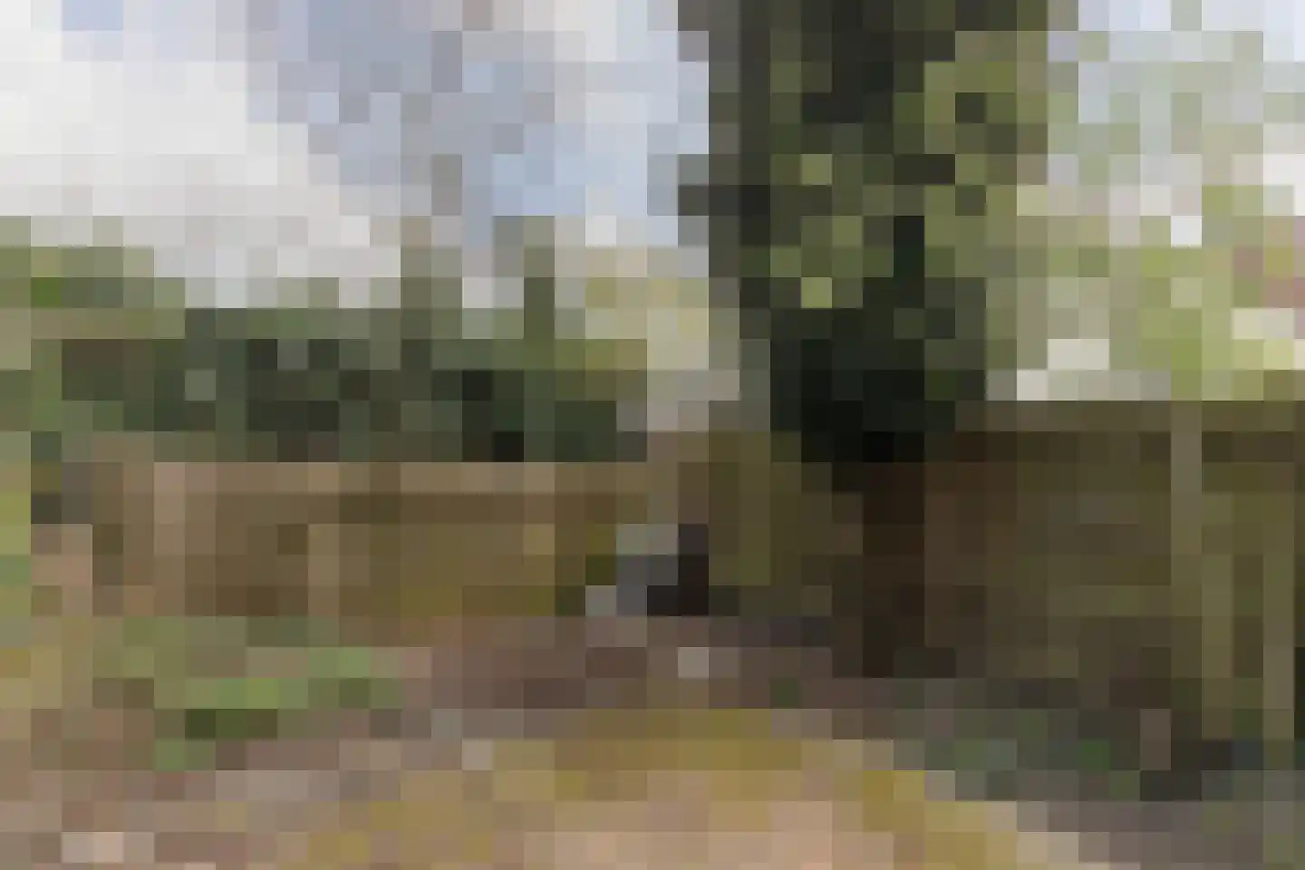 Bergselaan 58 A 02 Rotterdam thumbnail 12