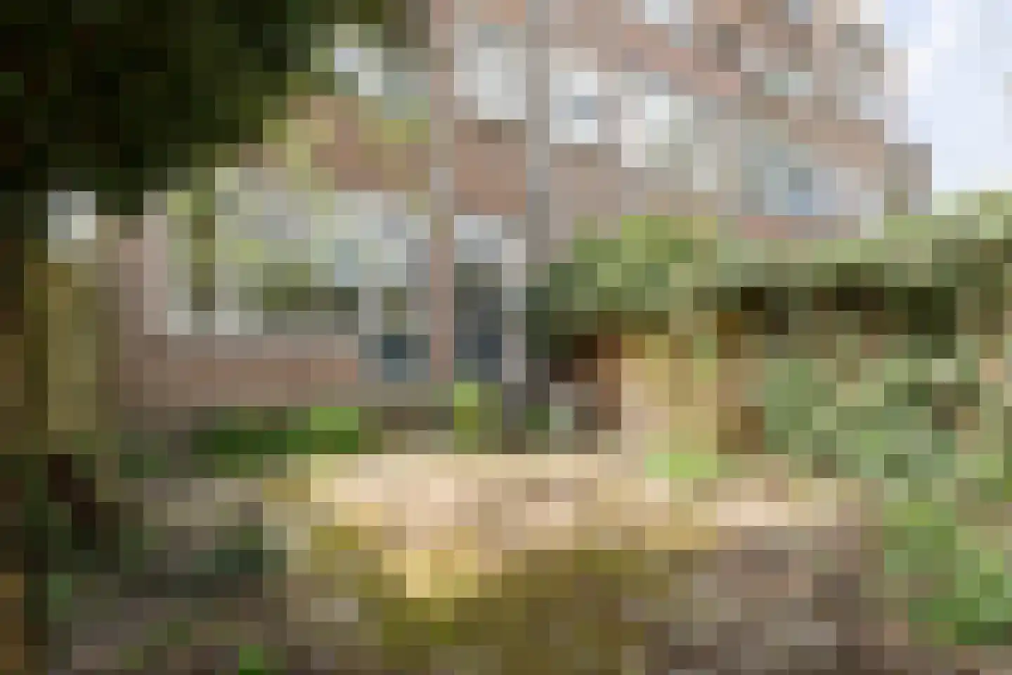 Bergselaan 58 A 02 Rotterdam thumbnail 13