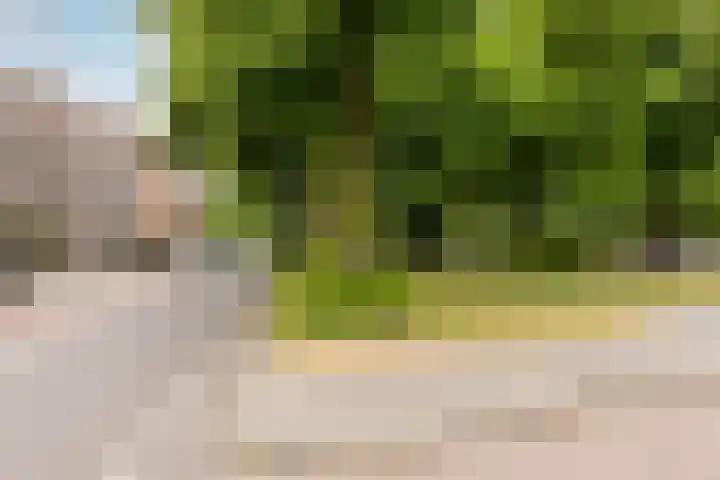 Bergselaan 74 B Rotterdam thumbnail 42
