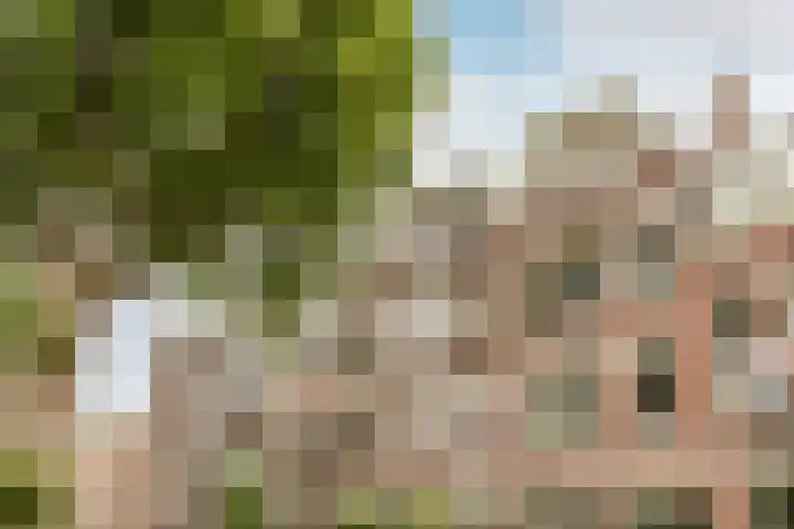 Bergselaan 74 B Rotterdam thumbnail 51