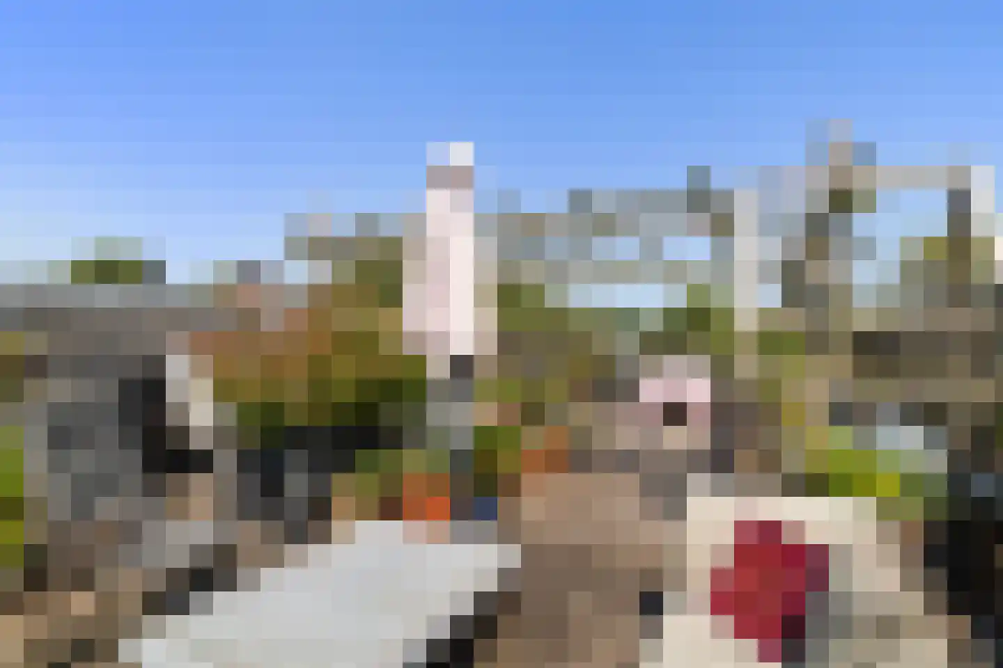 Bergselaan 86 A Rotterdam thumbnail 30