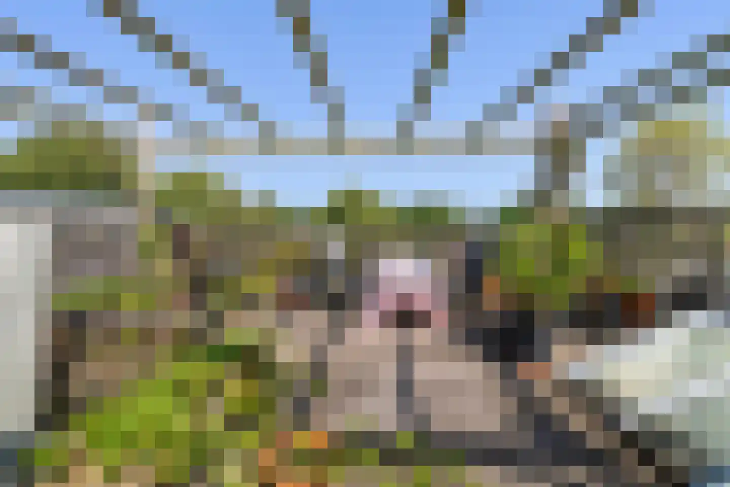 Bergselaan 86 A Rotterdam thumbnail 31
