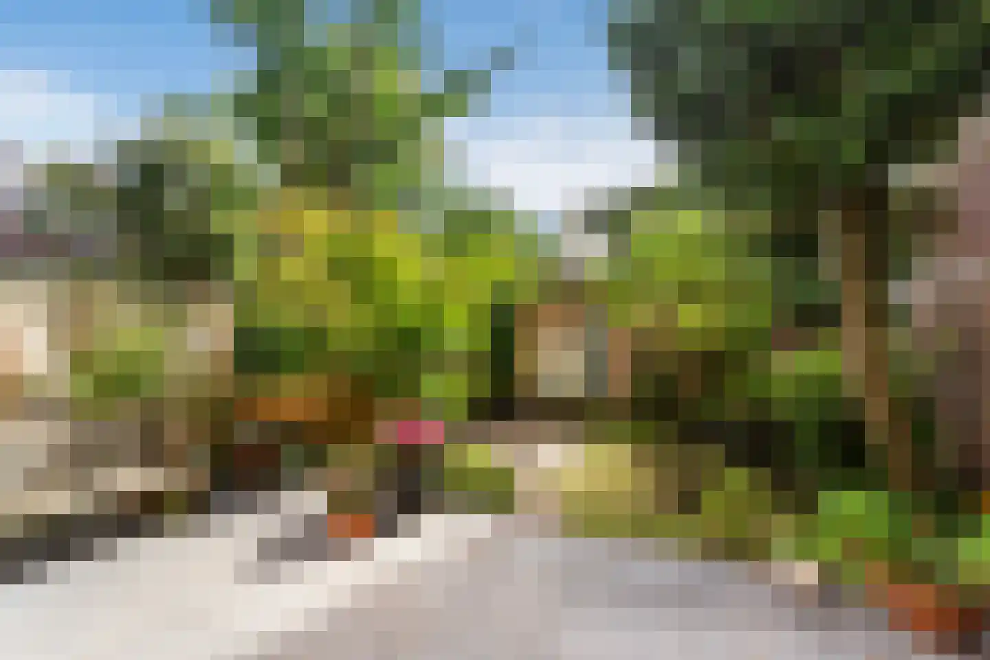 Bergselaan 86 B Rotterdam thumbnail 27