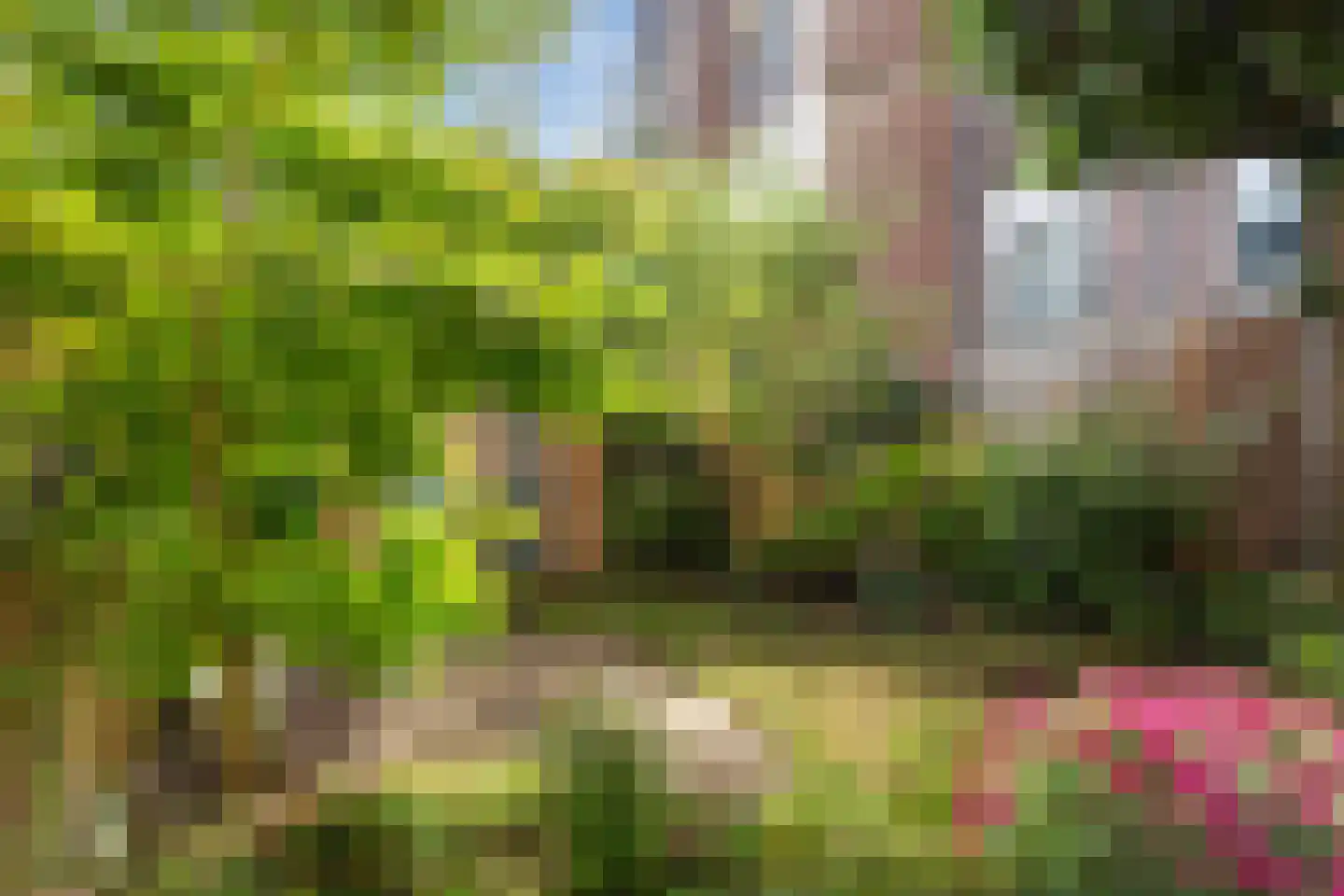 Bergselaan 86 B Rotterdam thumbnail 28