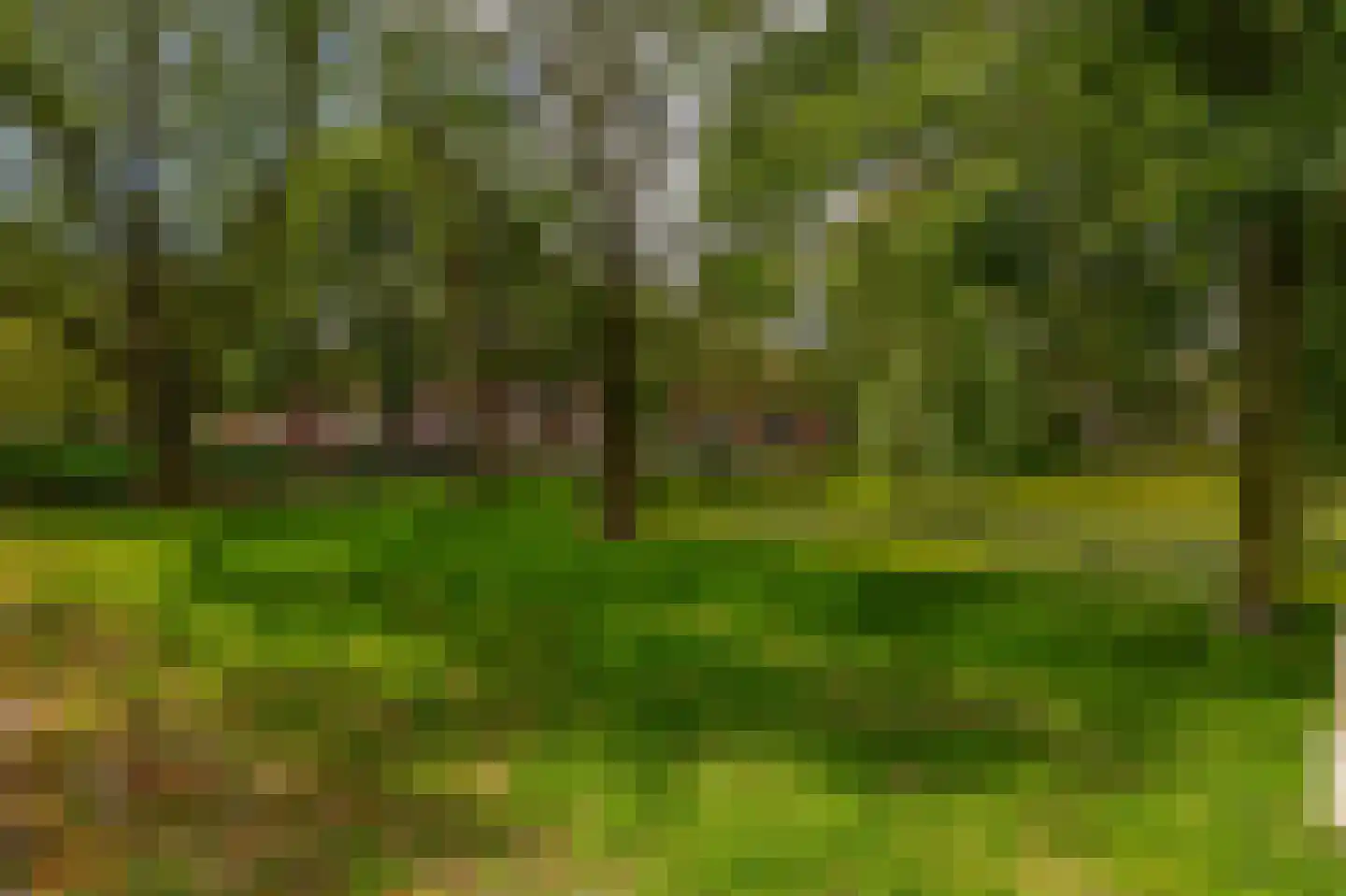 Bergselaan 88 A 03 Rotterdam thumbnail 24