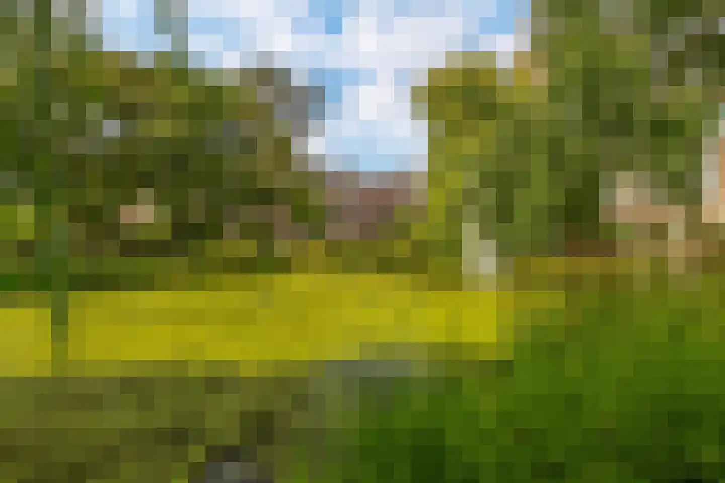 Bergselaan 88 A 03 Rotterdam thumbnail 25