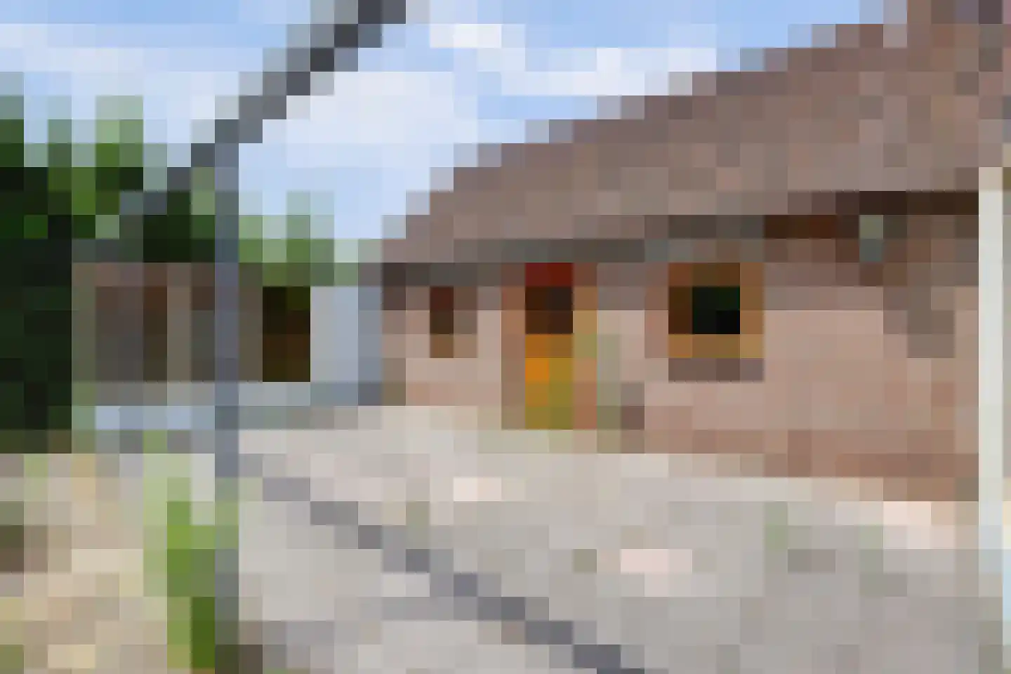 Bergsepolder 7 Drimmelen thumbnail 34
