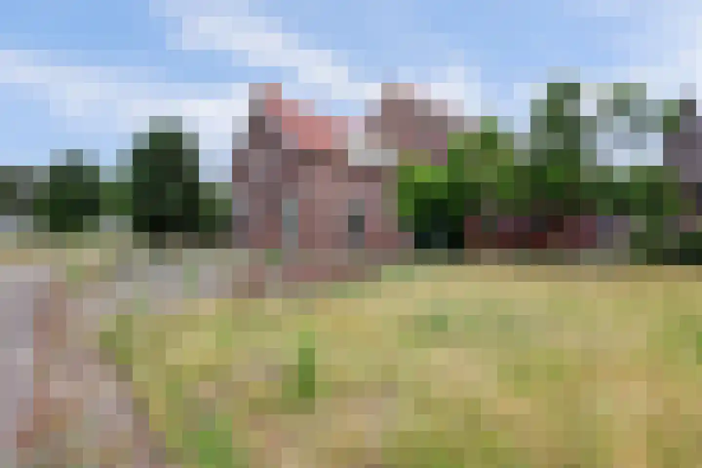 Bergsepolder 7 Drimmelen thumbnail 4