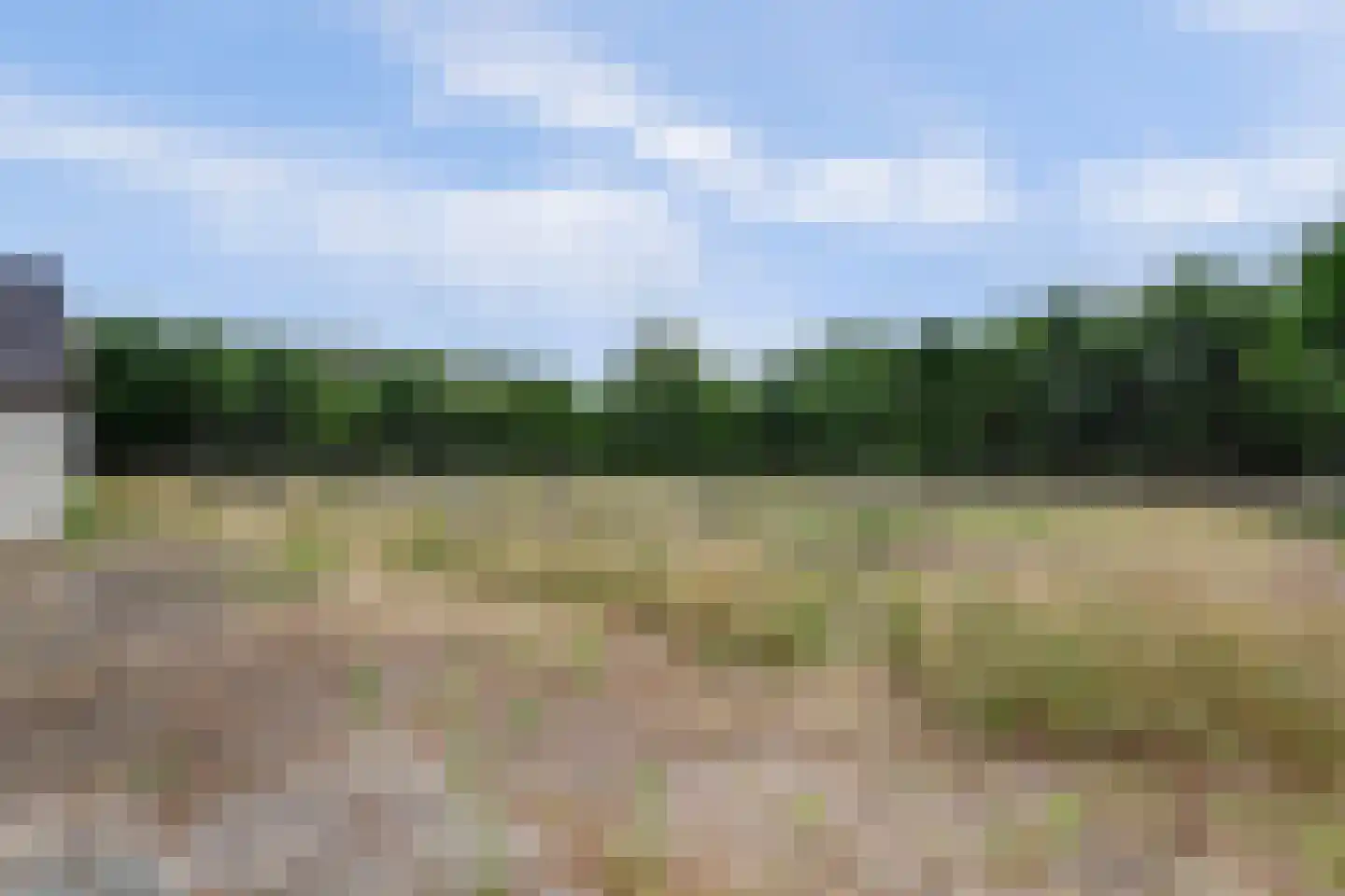 Bergsepolder 7 Drimmelen thumbnail 41