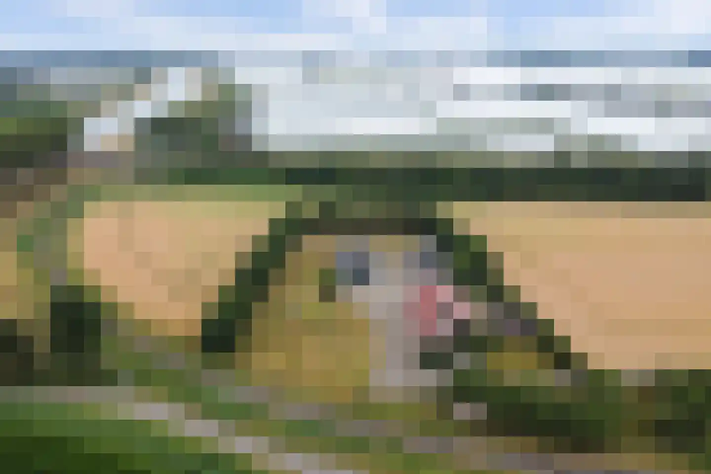 Bergsepolder 7 Drimmelen thumbnail 47