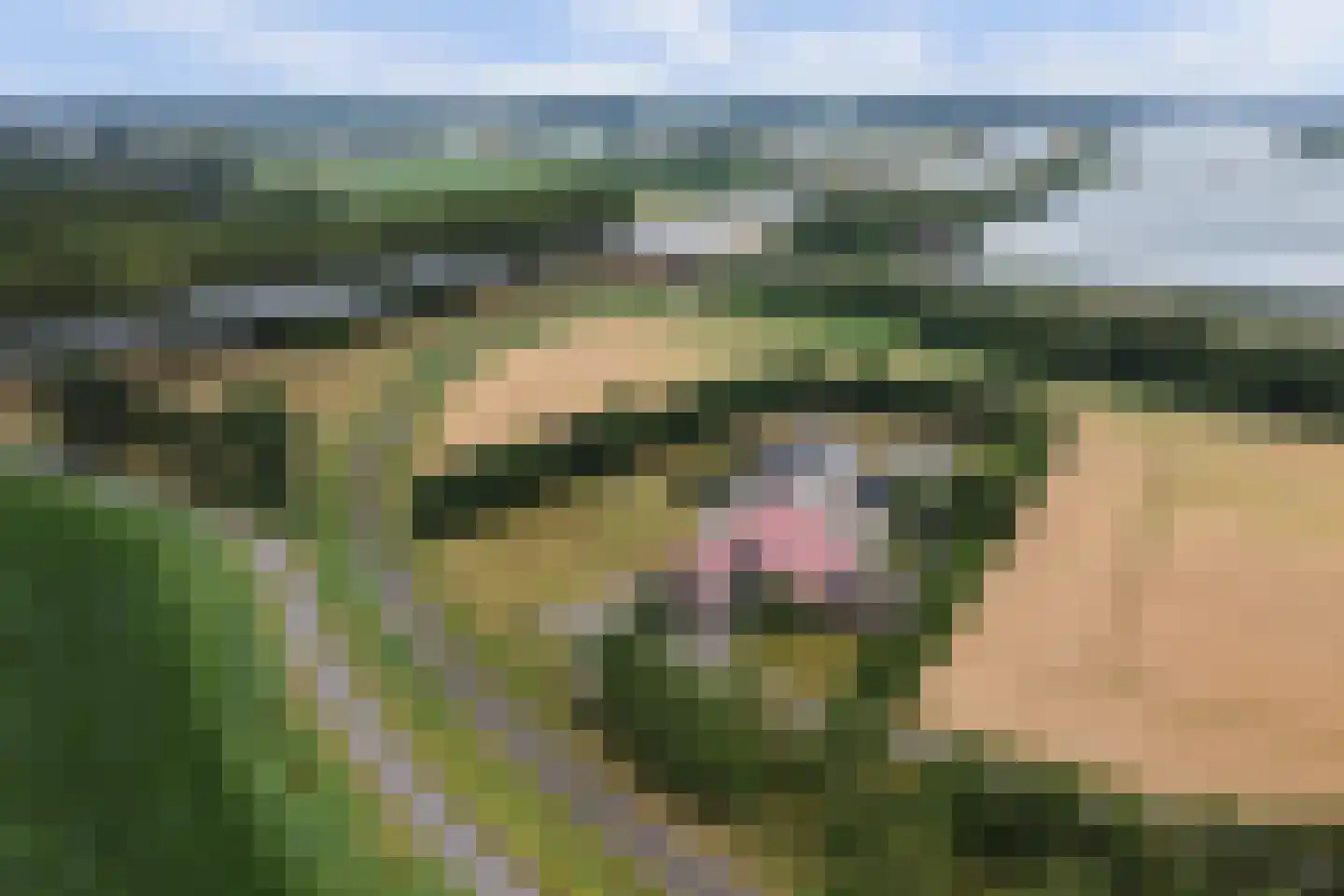Bergsepolder 7 Drimmelen thumbnail 48