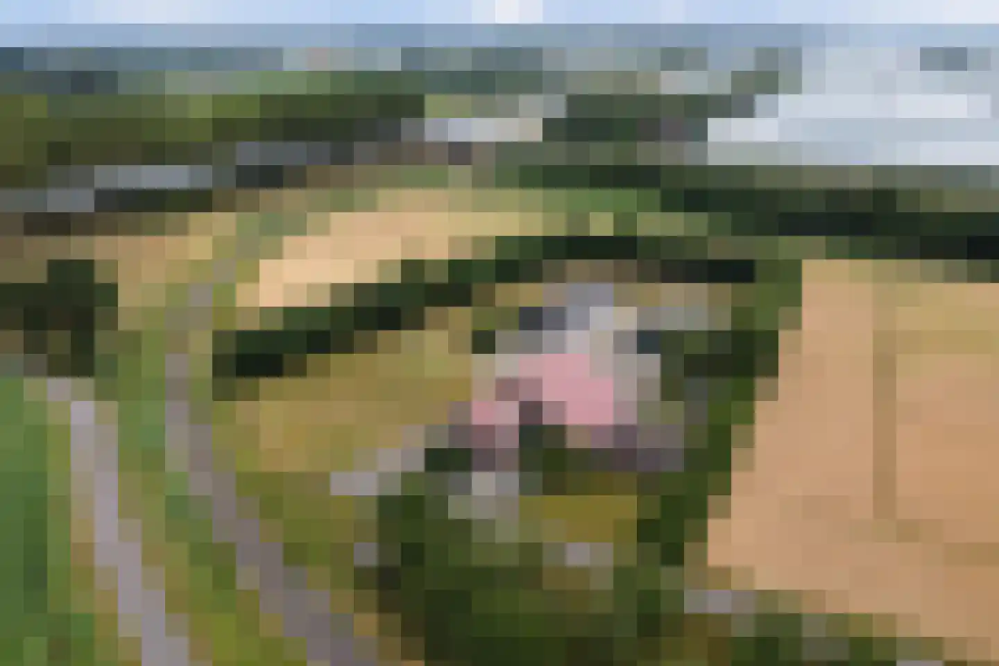 Bergsepolder 7 Drimmelen thumbnail 49