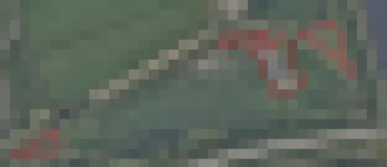 Bergsepolder 7 Drimmelen thumbnail 5
