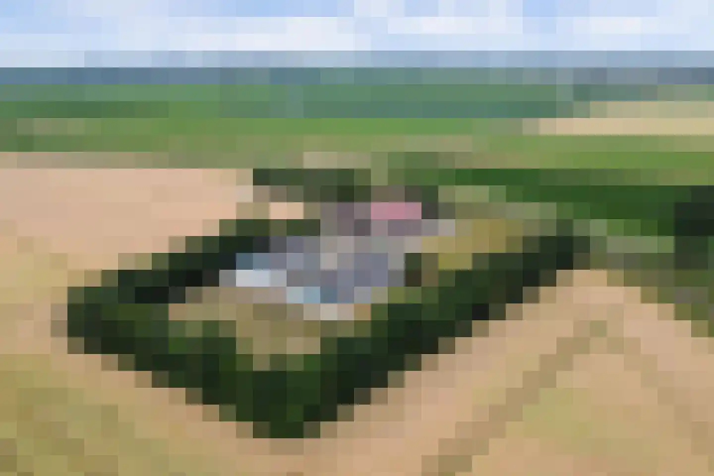 Bergsepolder 7 Drimmelen thumbnail 50