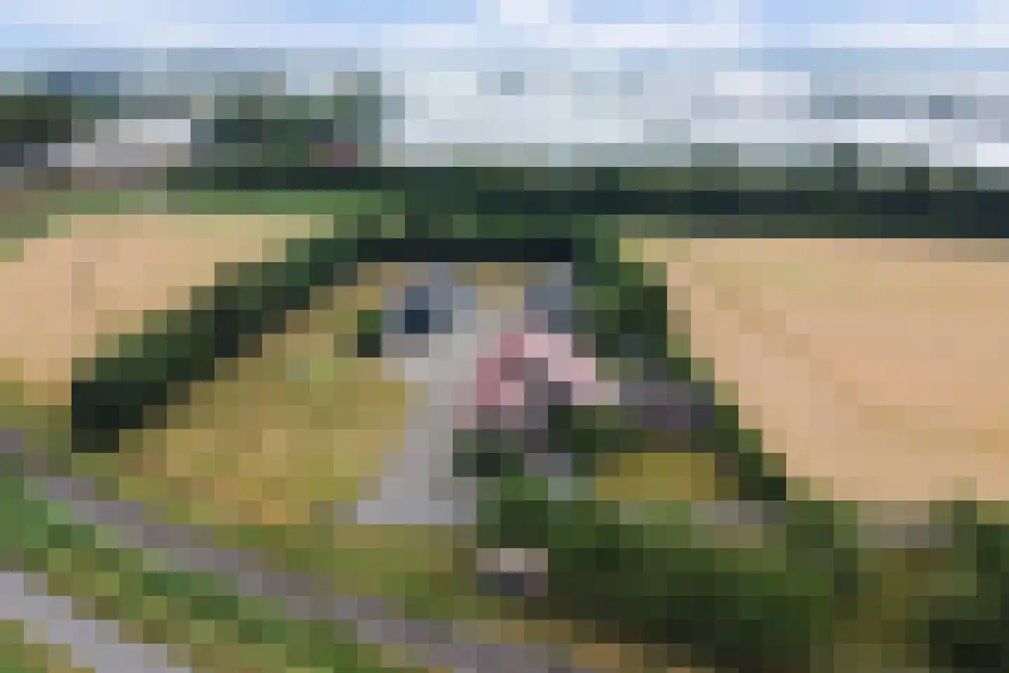 Bergsepolder 7 Drimmelen thumbnail 52