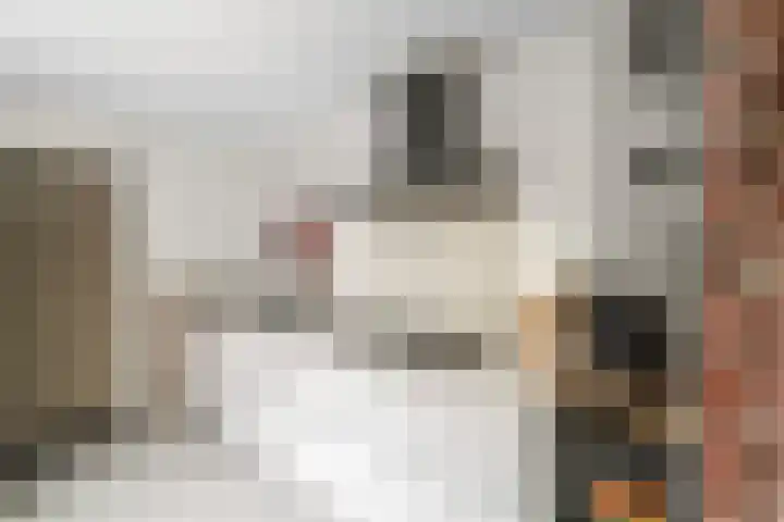 Bergsestraat 101 Wouw thumbnail 19