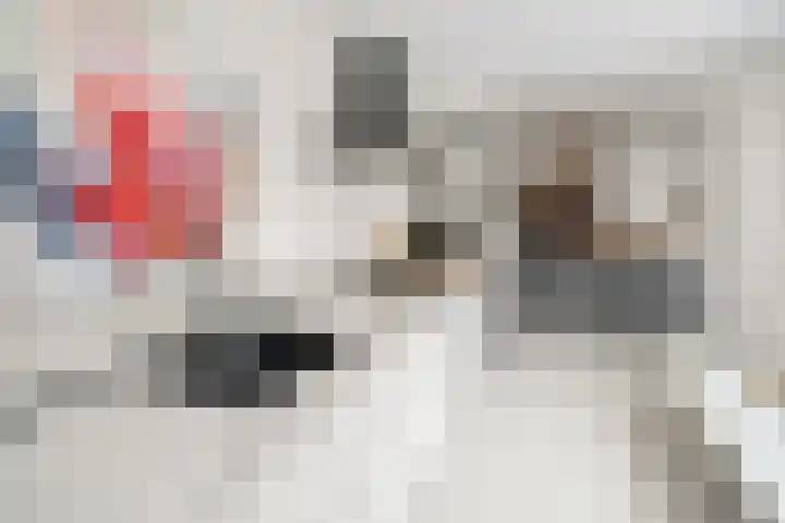 Bergsestraat 101 Wouw thumbnail 20