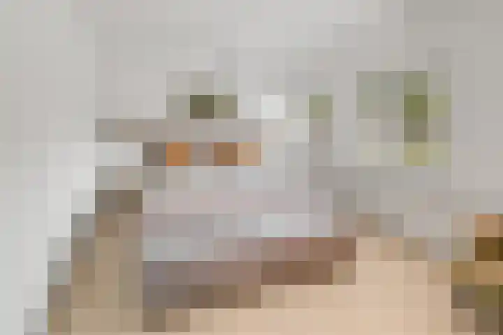 Bergsestraat 101 Wouw thumbnail 26