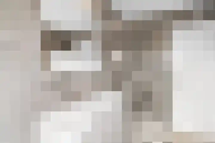 Bergsestraat 101 Wouw thumbnail 29
