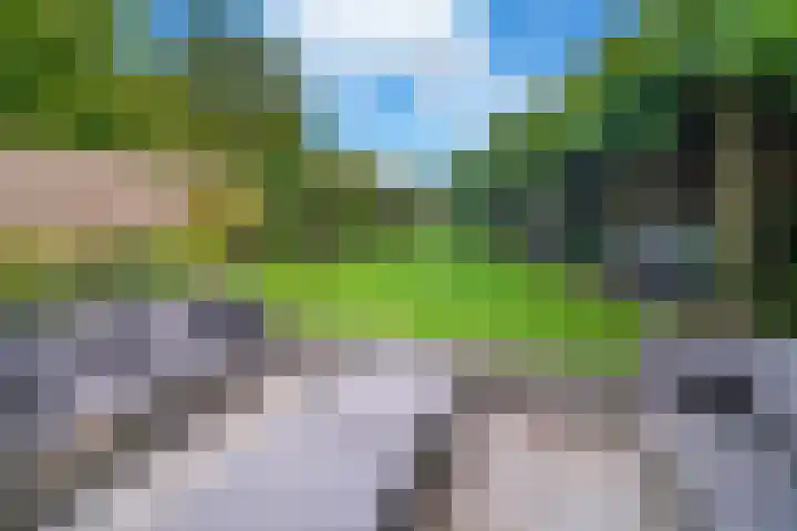 Bergsestraat 101 Wouw thumbnail 42
