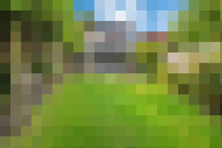 Bergsestraat 101 Wouw thumbnail 43