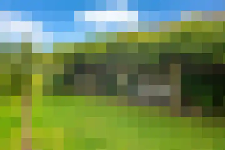 Bergsestraat 101 Wouw thumbnail 44