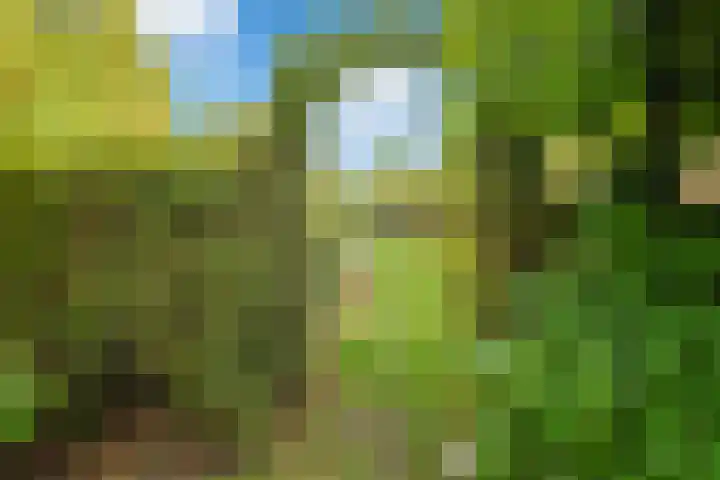 Bergsestraat 101 Wouw thumbnail 45