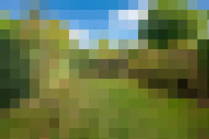 Bergsestraat 101 Wouw thumbnail 46