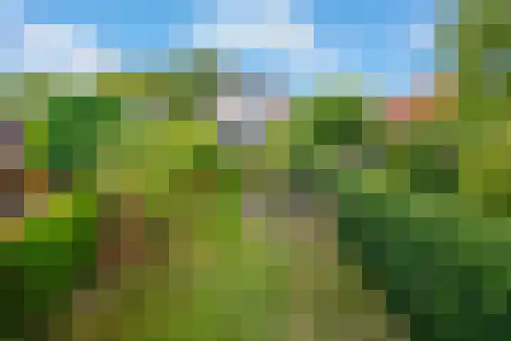 Bergsestraat 101 Wouw thumbnail 47