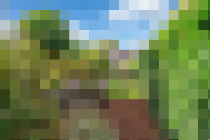Bergsestraat 101 Wouw thumbnail 48